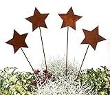 LB H&F Lilienburg 4er Set Gartenstecker rost Sterne Winterdeko Weihnachtsdeko edelrost deko Weihnachten Dekoration Weihnachtsdeko Stern Metall (4ER Set Sterne)