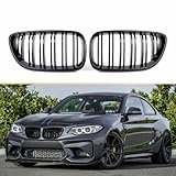 Gangying F22 Niere Schwarz,Kühlergrill Passt für BMW 2 Serie F22 F23 F87 M2 2014-2018 (Gloss Black ABS Double Slates, 2-PC-Set)