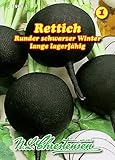Rettich, Runder schwarzer Winter, Winterrettich spät N.L.Chrestensen Samen