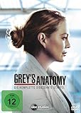 Grey's Anatomy: Die jungen Ärzte - Die komplette siebzehnte Staffel [5 DVDs]