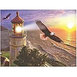 Daiments Painting Bilder Groß 50x40cm Diamant Painting Quadratische Steine Diamond Art Tiere Adler Diamant Malerei Leuchtturm Gemälde Groß Malen nach Zahlen Square Diamond Painting 5D DIY Erwachsene