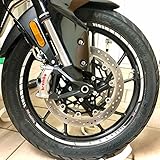 labelbike - Aufkleber Streifen Motorrad Felgen Räder 19-17 Schutz Kit kompatibel mit Triumph Tiger 900 850