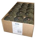 Dachpappnägel 3,1x19mm Ring verzinkt passend für Dachpappnagler Prebena Bostitch Makita AN454