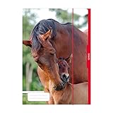 Herlitz 10285690 Sammelmappe A3 Pferd