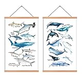 HPNIUB 2er Set Kinderzimmer Bild für Junge,Fische Bilder für Badezimmer,Meerestiere Bild Babyzimmer,Hai Wandbild Tiere Poster für Mädchen Schlafzimmer Wohnzimmer Wanddeko Geschenk,Holzrahmen,28X45CM
