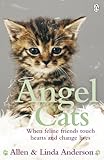 Angel Cats: When feline friends touch hearts and change lives (English Edition)