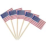 AhfuLife 100 Stück Amerika USA Zahnstocher Flaggen, Amerika Deko Fahne Klein Zahnstocher USA Fähnchen für Präsidententag 4. Juli WM Olympia Cupcake Toppers Toothpick Cocktail Party Restaurant Pub Deko