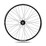 XB3 Vorderrad 28 Zoll Nabendynamo Shimano Hohlkammerfelge Laufrad für Felgenbremse, Schwarz