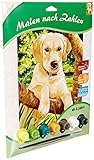 MAMMUT 105010 - Malen nach Zahlen Tiermotiv, Junger Labrador, Hund, Komplettset mit bedruckter Malvorlage im A4 Format, 7 Acrylfarben und Pinsel, Malset für Kinder ab 8 Jahre