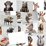 the lazy panda card company 64 Tierpostkarten - Postkarten von Tieren auf isolierten Hintergründen, lenkt die Aufmerksamkeit auf die Tiere