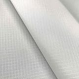 Ripstop-Spinnaker-Gewebe, leicht, für Drachen, Marine, Nylon, wasserabweisend, 150-155 cm breit, Meterware (weiß)