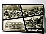 Naumburg / Saale / Sachsen-Anhalt. Alte Ansichtskarte / Postkarte s/w, gel. 1967. Mehrbildkarte: Wilhelm - Pieck - Platz, Blick vom Stadtturm, Postamt u. Bürgergarten