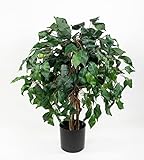 Ficus Benjamini 60cm grün DA künstlicher Baum Pflanze Kunstbaum Dekobaum Kunstpflanzen Zimmerpflanze Birkenfeige
