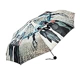 LUCKYWEATHER Regenschirm Taschenschirm Mini Damen/Herren Motiv Caillebotte Rainy Day in Paris I Regenschirme mit UV-Schutz