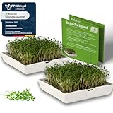 growpowr® - Kresse ANZUCHTSCHALEN || 2X Keramikschale mit 2X Kressesieb | Keimschalen auch für 7 weitere Sprossen geeignet | Kresseschale | Kress | Kresse Schalen | Keimschalen für Kresse | cress