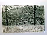 Heidelberg. Alte Ansichtskarte / Lithographie s/w, gel. 1901. Blick über Heidelberg vom Philosophenweg