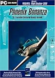 Flight Simulator 2000 - Phoenix Bonanza