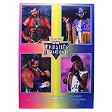 World Wrestling Federation WWF Official Souvenir Programme Magazin: International Wrestling Tour (1994)