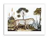 Wee Blue Coo Antique ZOTL Cheetah Gepard Painting Nature Canvas Art Prints