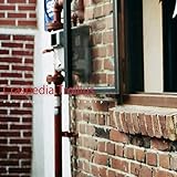 The Foxtail Blond of Kill