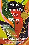 How Beautiful We Were: A Novel (English Edition)