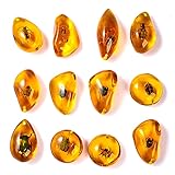 5PCS Amber Fossil mit Insekten Proben Steine Kristall Exemplare Harz Bernstein Insekt Anhänger Heim Dekorationen Sammlung ovaler Anhänger (zufälliges Muster)