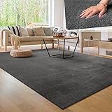 Paco Home Moderner Kuscheliger Wohnzimmer Teppich Kurzflor waschbar flauschig Weich Einfarbig Felloptik zeitlos stilvoll rutschfest pflegeleicht, Grösse:120x170 cm, Farbe:Anthrazit
