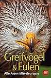 BLV Greifvögel & Eulen: Alle Arten Mitteleuropas (BLV Vögel)