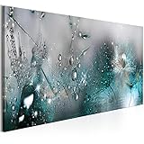 murando Acrylglasbild Pusteblume 120x40 cm 1 Teilig Wandbild auf Acryl Glasbilder Kunstdruck Moderne Acrylglas Platte Wanddekoration Geschenke Heimdekoration Glasbild Blumen Natur blau Pusteblumen