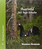 Auerwild – 365 Tage Urhahn