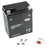Gel-Batterie für Honda PS 125 i Passion, 2006-2013 (JF17), wartungsfrei, inkl. Pfand €7,50