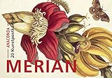 Postkarten-Set Maria Sibylla Merian: 20 Kunstpostkarten aus hochwertigem Karton. ca. € 0,25 pro Karte (Anaconda Postkarten, Band 2)