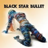 Black Star Bullet [Explicit]