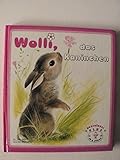 Wolli, das Kaninchen