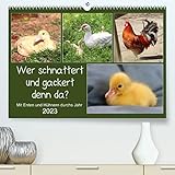Wer gackert und schnattert denn da? Mit Enten und Hühnern durchs Jahr (Premium, hochwertiger DIN A2 Wandkalender 2023, Kunstdruck in Hochglanz)