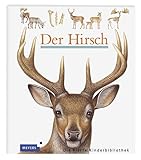 Der Hirsch (Meyers kleine Kinderbibliothek)