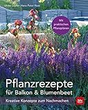Pflanzrezepte für Balkon & Blumenbeet: Kreative Konzepte zum Nachmachen
