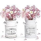 FORMIZON Vintage Blumenvase, 2 Stücke Vintage Milchkanne, Blumenvase Milchkanne, Blumentopf Shabby, Landhausstil Deko Vase Rustikal Vintage Blumenvase Herz Milchkanne für Garten Tischdeko Wohnzimmer