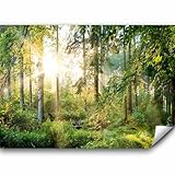 murando - Fototapete Premium-Vlies Wald 350x256 cm - Foto Tapete Schlafzimmer Wohnzimmer Moderne Vliestapete XXL Wandtapete Motivtapeten Bildtapete 3d Effekt Wand Dekoration - Bäume c-C-0032-a-b
