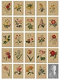 24 Postkarten,Vintage Postkarten,Postkarten Blumen Vintage, Postkarten Set,Kraftpapier Postkarte mit Schöner Blumensprache Gedruckt auf Kraftpapier