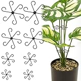 8 Stück Pflanzenstütze Staudenhalter, Pflanzenstielhalter Pflanzen Stütze, Pflanzstützgreifer Pflanzenklammern für Monstera Rankhilfe und Alocasia, Tomaten Hortensien (8)