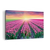 Bild auf Leinwand - Leinwandbild - Wiese Tulpen Sonnenuntergang Frühling - 100x70cm - Wand Bild - Wanddeko - Leinwanddruck - Bilder - Kunstdruck - Leinwand bilder - Wandkunst - AA100x70-2841