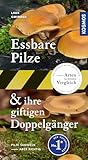 Essbare Pilze und ihre giftigen Doppelgänger: Pilze sammeln - aber richtig