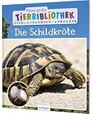 Meine große Tierbibliothek: Die Schildkröte: Sachbuch für Vorschule & Grundschule