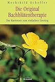 Die Original Bachblütentherapie: Das Kartenset zum einfachen Einstieg. Mit 50 Karten