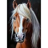 MXJSUA Diamant Painting Bilder, Braunes Pferd Diamond Painting für Erwachsene Anfänger, 5D DIY Diamant Malerei für Zuhause Dekor 30x40 cm
