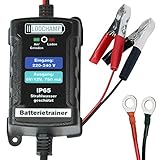 LODCHAMP Batterietrainer 6V/12V-750mAh IP65 Erhaltungsladegerät Batterieladegerät Erhaltungsgerät KFZ Auto Motorrad Quad ATV Boot