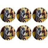 6 Stück Knopfnadeln, Brosche, Anstecknadel, Emaille, lustiges Abzeichen, Schmuck, Geschenk für Kleidung, Rucksack, Hut, Jacke, Dekoration – Wiesel, Frettchen, Herbstblätter, 2.2in/5.7cm Diameter,