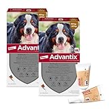 ADVANTIX Sparset: Elanco Spot on für Hunde 40 kg - 60 kg, Schutz vor Zecken & Flöhen, wehrt Mücken & Stechfliegen vor dem Stich ab – Schutz für Urlaub & Alltag, Wirkung bis zu 4 Wochen, 2x4 Pipetten