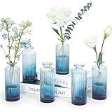 6 Stück Glasvasen für Blumen,Blaue dekorative Vase, Kleine Vasen Set für Tischdeko, Vintage Mini Blumenvase, Klare Deko Vasen für Hochzeit, Party und Wohnzimmer, Heimdekoration, Einweihungsgeschenke